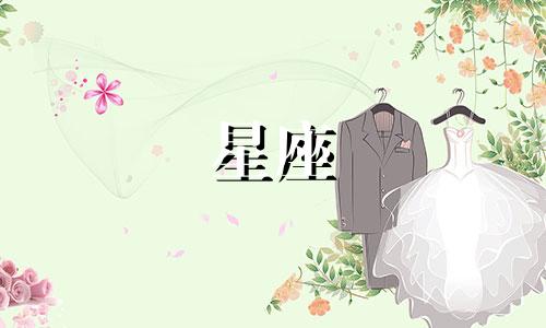 视频教程：星座插画创作思路解析与图解 12星座插画绘制方法