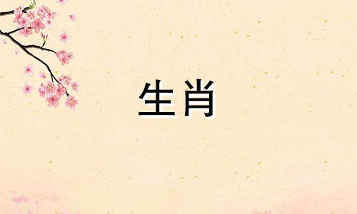 生宝宝属龙好还是属蛇好呢 属蛇的生龙宝宝