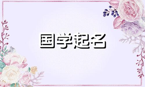 最新的宝宝起名宝典大全及寓意 宝宝起名宝典免费