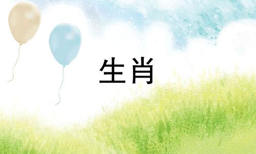 78年出生的属马人在事业上与哪个生肖相配？