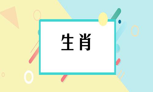 生肖鼠的最佳配偶属相 生肖属鼠人的最佳生肖伴侣