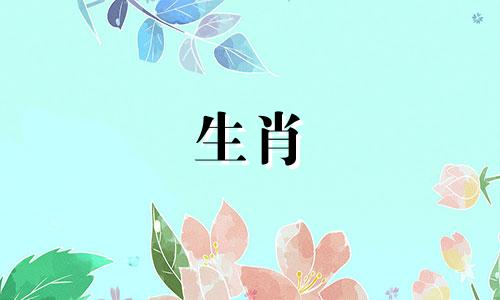 十二生肖属相属猪配对 属猪的最佳婚配是什么属相,12生肖最佳配对