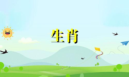 在十二生肖中，哪些属相的女生可能会乞讨？