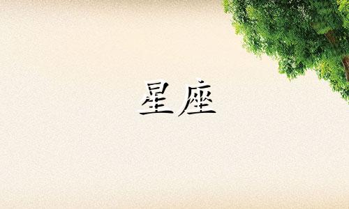 白羊女在面对喜欢的人时，性格分析显示她们既充满爱意又显得胆怯。