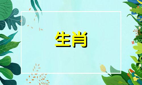 属猪的人最适合和哪个生肖交朋友？