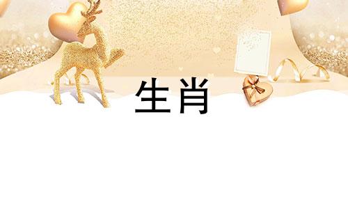 十二生肖舌头对应的属相 买大舌头的动物是什么生肖可以改写为哪个生肖对应着大舌头的动物？。