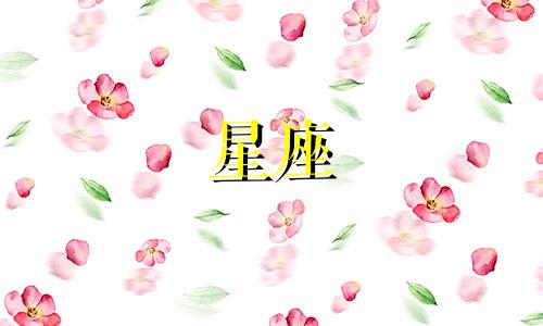 摩羯座男士的星座分析与适合的穿搭风格 摩羯女适合哪个星座的男生