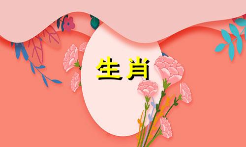 十二生肖中，哪些属相最适合进行最佳属相婚配？