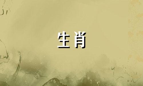 在十二生肖中,哪个动物最具有理解力和智慧?