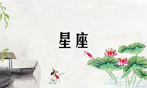 小花仙中王珂的星座分析 小花仙人物的名字、性别、生日、星座