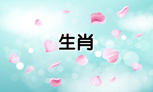 兔生肖与哪个属相最相配 属兔的人最适合和哪个属相的人在一起呢