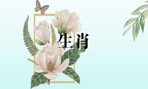 马和鼠属相冲突吗？生肖兔 属鼠与哪些属相相冲