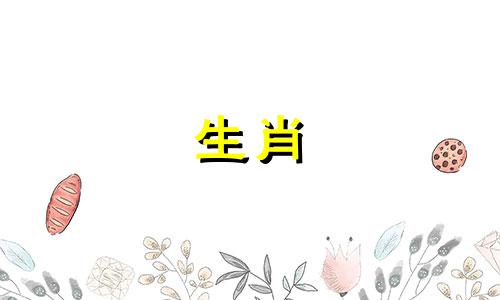 什么生肖与属龙最相配,能够带来最好的运势 属龙和哪个生肖最旺