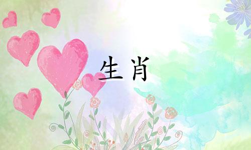 十二生肖的代号和属性识别