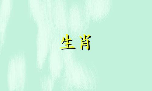 杨澜属于哪个生肖属相的明星 生肖属猴