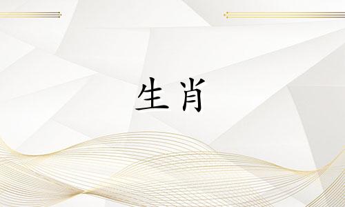 与狗的生肖相匹配的属相是什么？