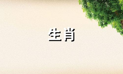 鼠年应避免与哪些生肖相冲突 属鼠的人最忌讳的属相，属鼠的人最怕什么属相