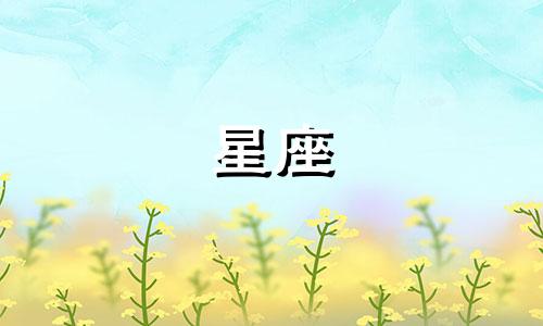 十二星座中,哪些星座是幸福的情侣?哪些星座是知心的恋人?