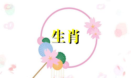 罪魁祸首何属相可以改写为谁是罪魁祸首的生肖。