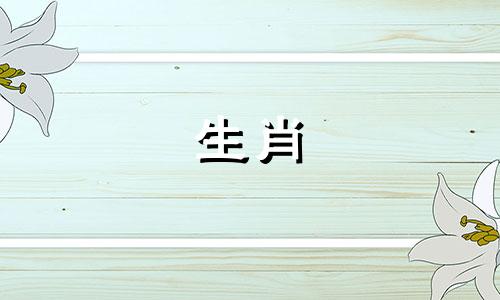 胡亮喜欢哪些生肖属相？有哪些好看的电影或电视剧值得推荐给他？