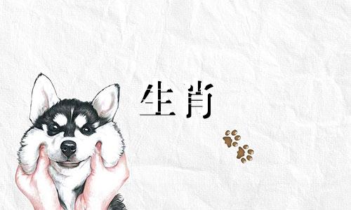 中国有多少个生肖，即十二生肖中最多有多少个属相？