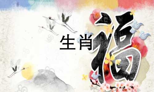 哪些生肖女性在婚后成为贤内助，使丈夫越来越富有？