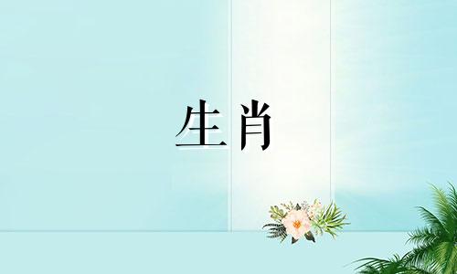 生肖牛最佳属相是指与牛属相最匹配的属相。根据中国传统的十二生肖配对理论，每个生肖都有