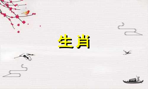 属兔男性的最佳配偶生肖是什么 属兔男最适合与哪个生肖相配