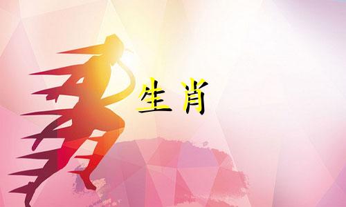 寻找十二生肖属相图解 十二生肖顺序表