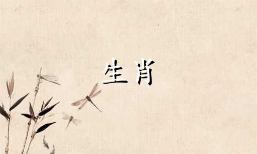 属兔的人应该戴红绳还是黄绳作为手链？