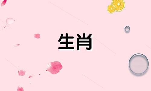 哪个生肖与鼠属相最相配？