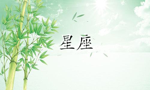 陶白白对摩羯座的性格分析