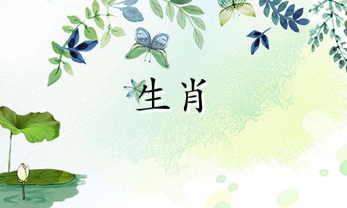 适合成为朋友的属相生肖马 属马的人应该选择什么属相作为兄弟姐妹，以及最适合与属马的人交往的属相