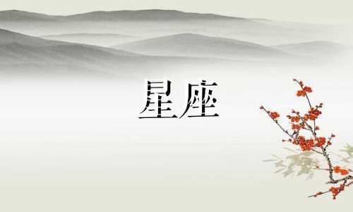 分析双星座射手男的爱情指数 双子座与射手座的配对指数