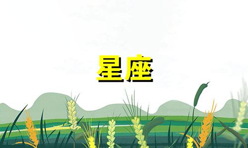 推荐一款美女星座分析软件,可使用手机观察星座。