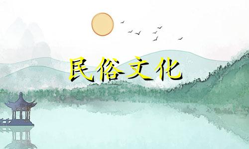 视频解读:全面图解花艺风水禁忌,特别关注茶花的风水象征和避免事项