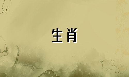 赵小乔的生肖属相是什么 意难忘中的珊妮个人资料