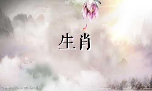 兔年怀孕的属相是哪个生肖 兔年不适合生育的属相