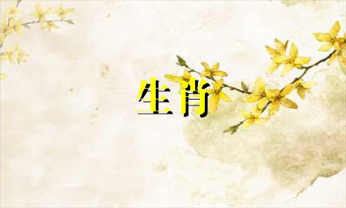 生肖不匹配的征兆是什么?