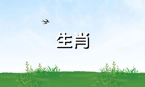 四库对应生肖属相图表 四库是指哪四个生肖