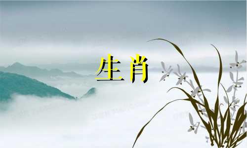 十二生肖中,哪些属相代表和尚?