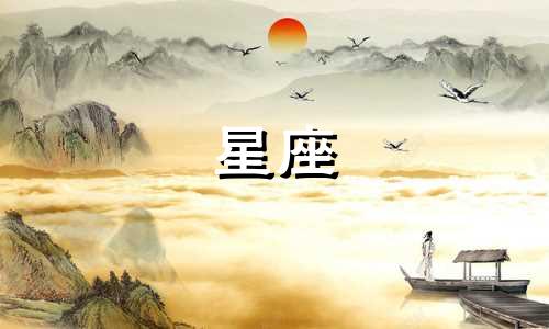 推荐一款神勇双星座分析软件，用于元素分析仪的实力评估。