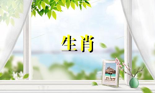 哪个颜色最旺十二生肖的招财运势 十二生肖的财运颜色