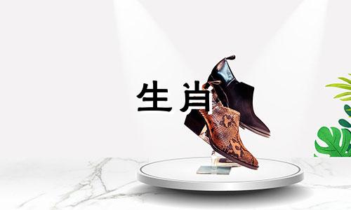 生肖鸡与哪些属相相冲 属鸡的人和哪个属相相冲呢