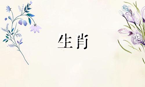 四海九洲是指中国的四大海域和九州地区，而属相生肖是指中国传统的十二生肖。所以，改写后的句子