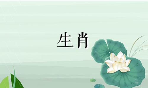 与兔属相最相配的生肖是什么？