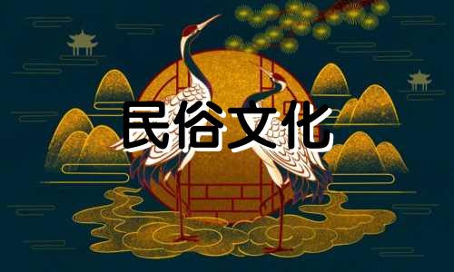 水培绿萝的风水禁忌是什么？ 绿萝的风水作用及摆放禁忌