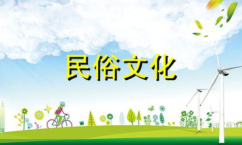 缅桂种植风水禁忌大全图片 院子里可以种白兰花吗