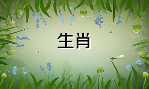 郑小瑛属于哪个生肖属相的 2017年属猴女孩名字大全解析