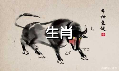 ��д�������ſ���ʲô��Ф����� 